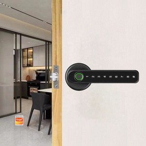 Electric Electronic Handle Digital Tuya Ttlock Cerraduras Inteligentes Con Wifi Keys Fingerprint Interior Zigbee Door Locks