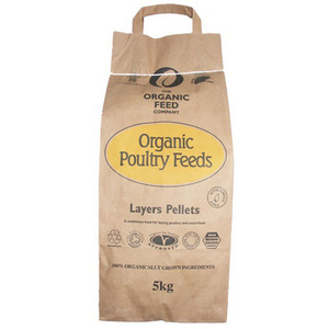 2 layer 3 layers kraft paper charcoal bag for 5kg 10kg