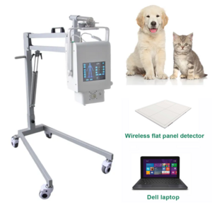 High Frequency Radiography 8KW 160MA X-ray System Medical Diagnostic Mobile X Ray Machine Price