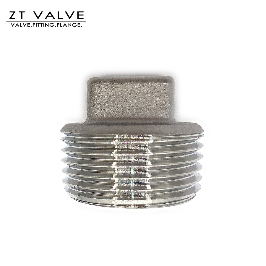 Square plug 2 inch stainless steel pipe,ss fittings stainless steel,pipe plug