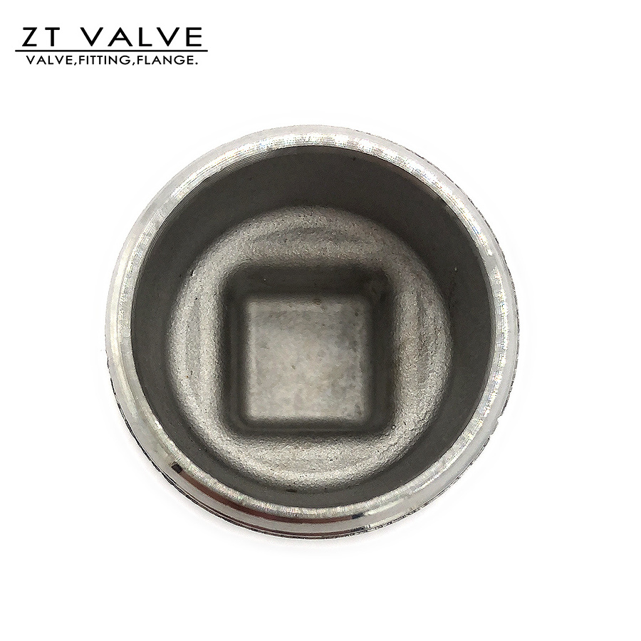 Square plug 2 inch stainless steel pipe,ss fittings stainless steel,pipe plug