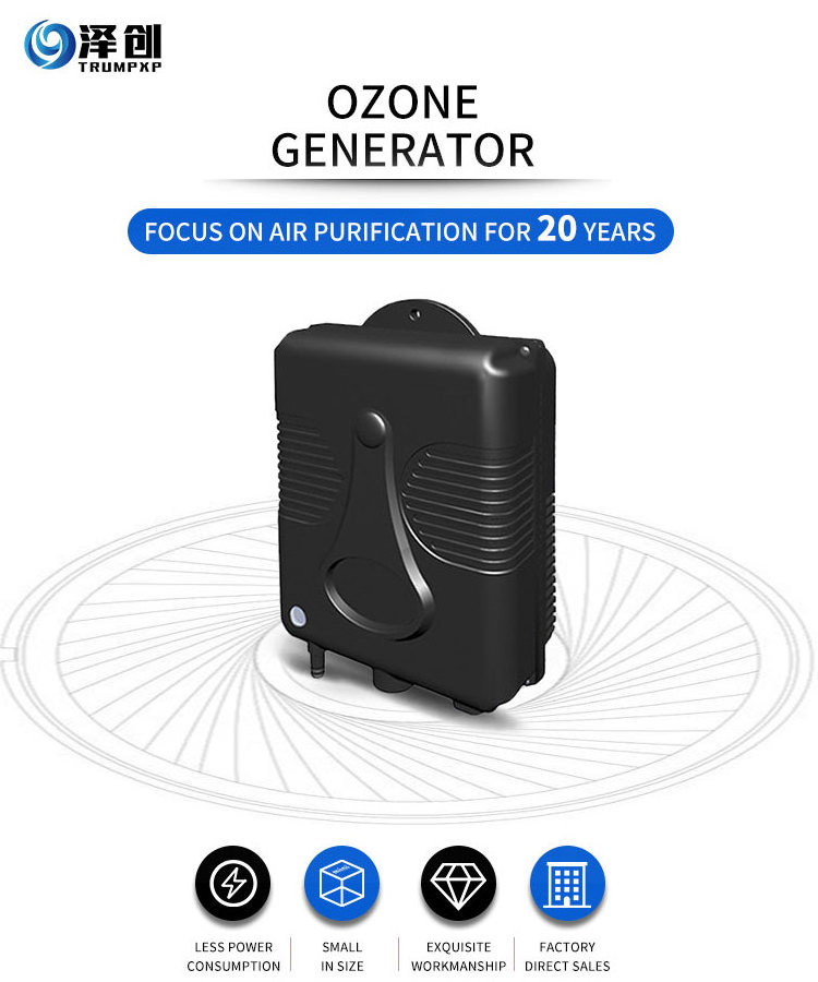 TCB-109 DC12V 24V AC220V 110V 200mg/h Ozone Generator for Spa and Water Treatment Ozonator