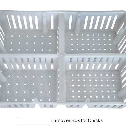 Sale Transport Basket Professional Plastic Chicken Crates Chicken Crates Plastic Transport Boxes