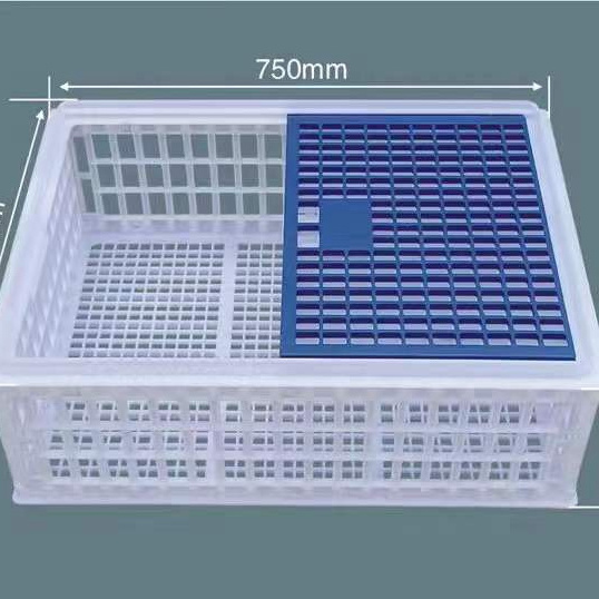 Sales plastic orange White  Chicken Crates Chicken Transport Crates Chicken Crates Plastic Transport Boxes