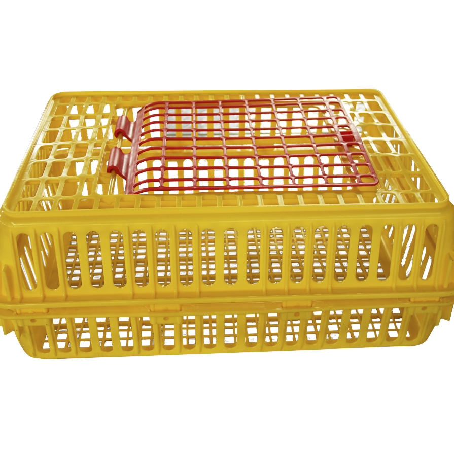 Sales plastic orange White  Chicken Crates Chicken Transport Crates Chicken Crates Plastic Transport Boxes