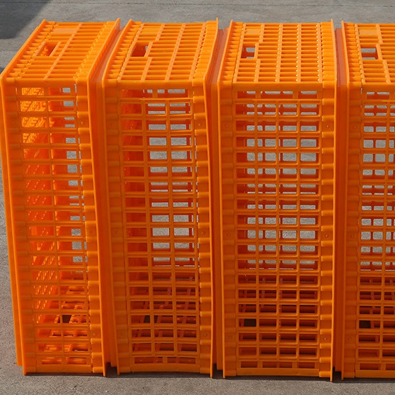 Sale Transport Basket Professional Plastic Chicken Crates Chicken Crates Plastic Transport Boxes