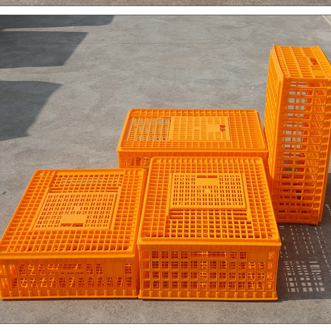 Sale Transport Basket Professional Plastic Chicken Crates Chicken Crates Plastic Transport Boxes