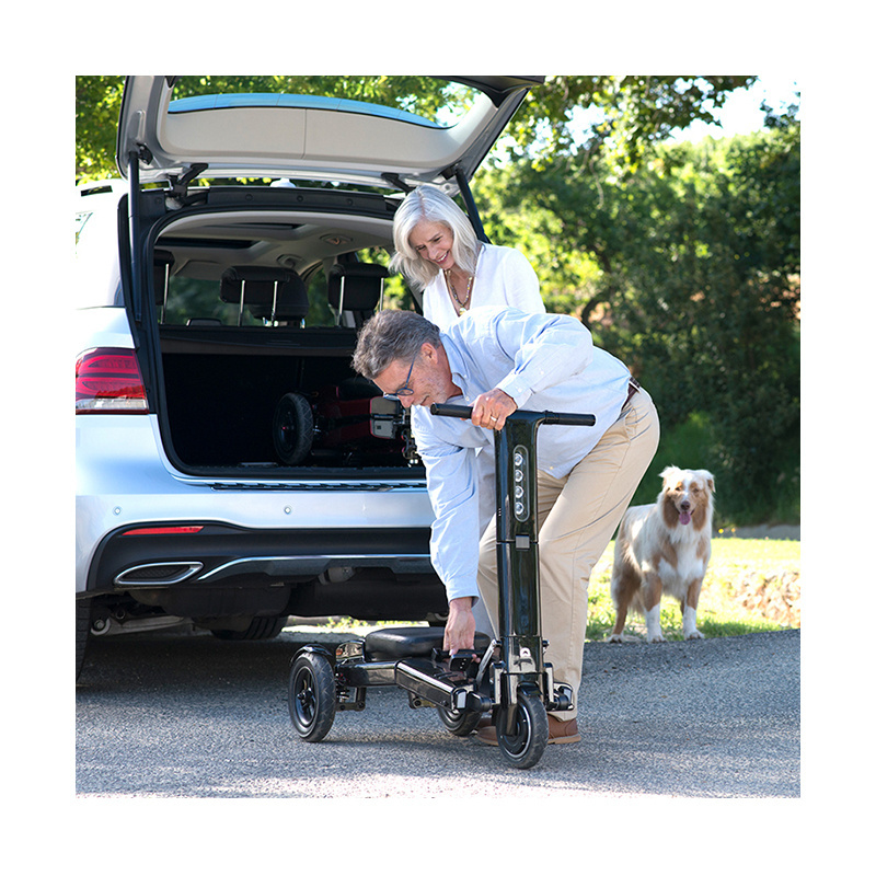 Zuowei 501 For Adult Walk the Dog Folding Electric Scooter Three Wheel Scooter Electric Adult For Disabled