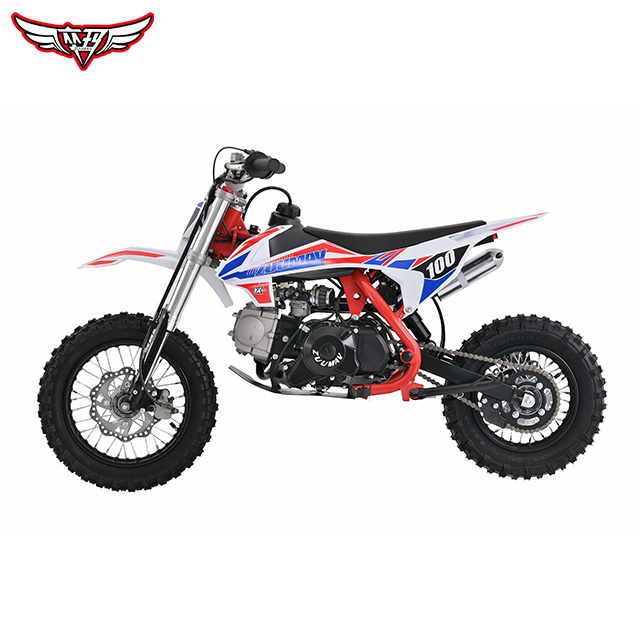 Factory Direct Sales ZUUMAV K1 110cc Kids Automatic Mini Dirt Bike Pit Bike