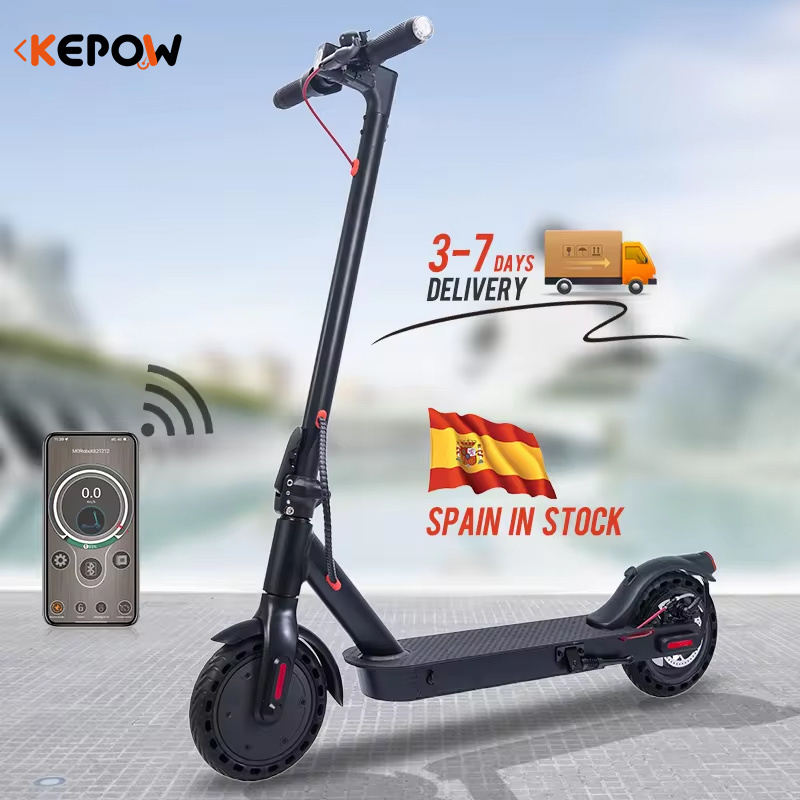 New Fashion 350w motor Citycoco China Cheap e9pro Stand Up Mini Foldable with app Kick 2 Wheel Electric Scooter Adult