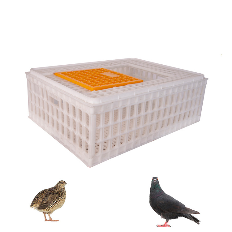 Multi-Colorful Plastic Poultry Crate Bird Coop Pigeon Transportation Moving Cage Box For Sale