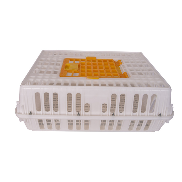 Multi-Colorful Plastic Poultry Crate Bird Coop Pigeon Transportation Moving Cage Box For Sale