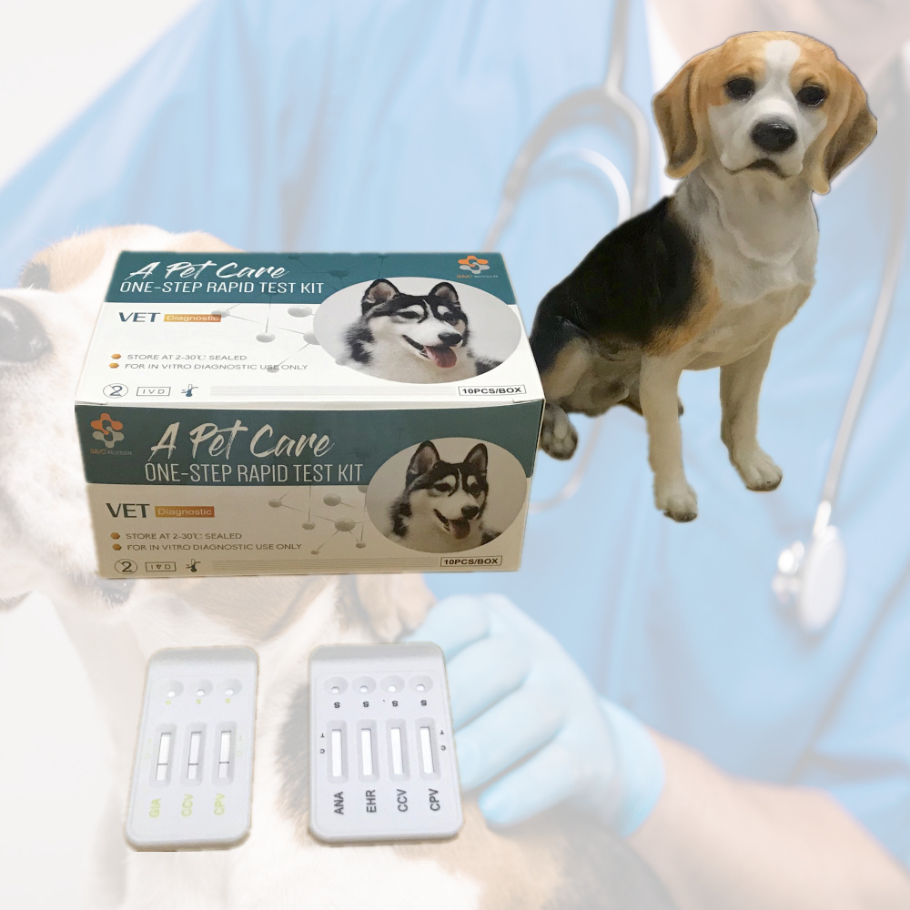 hot sale veterinary pet lab quick tests canine combo CDV/CAV/CIV test kit CDV test