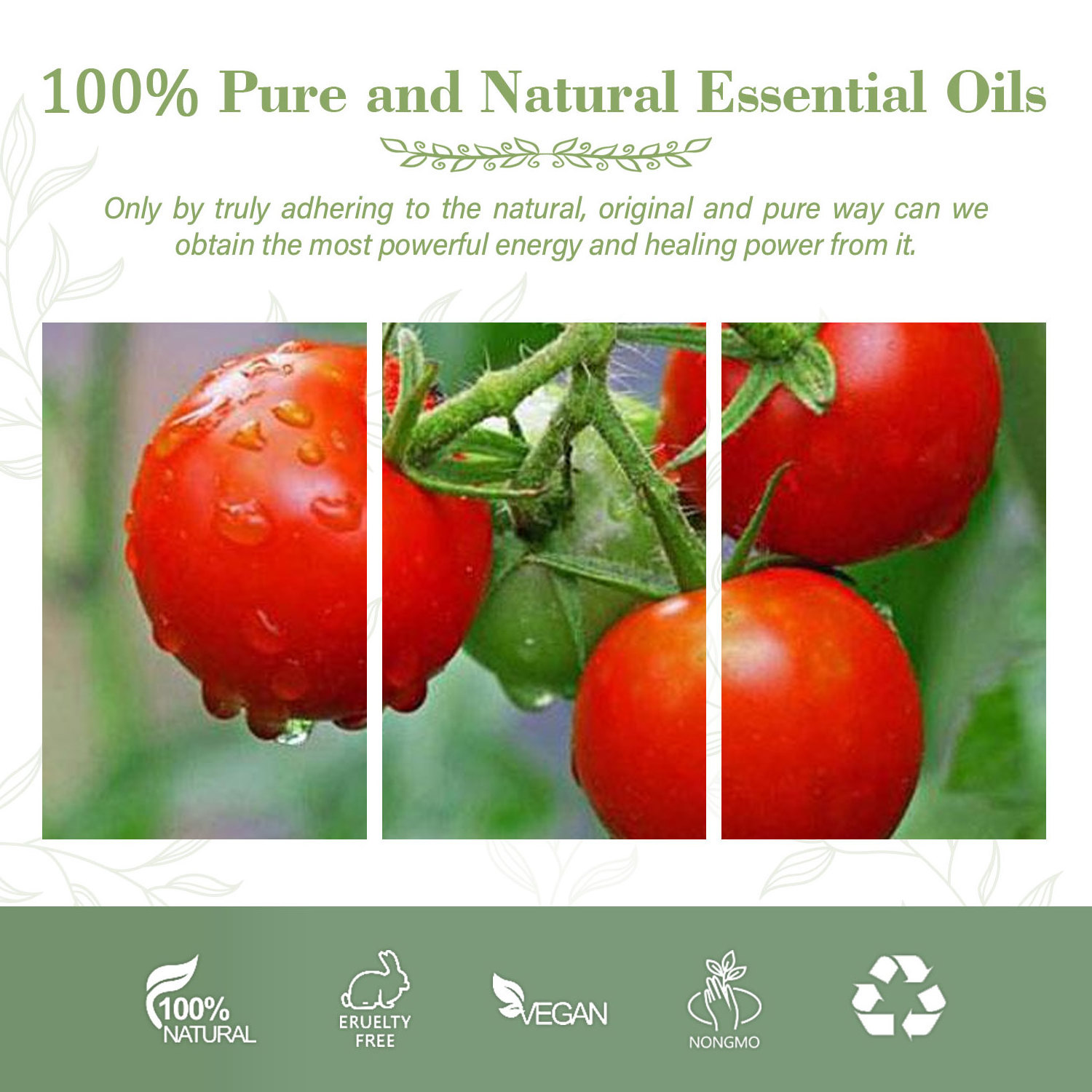 Organic Tomato Seed Oil | Pure Tomato Oil  Pure and Natural