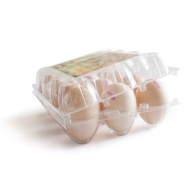 ZX Wholesale 12 Holes Plastic Clamshell Blister Egg Container Packaging 12 cell eggs carton disposable plastic chicken eggs tray