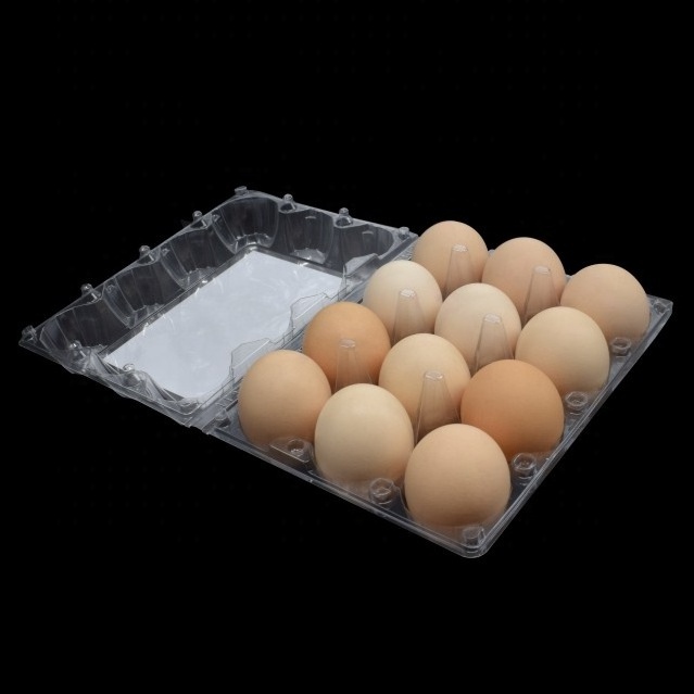 ZX Wholesale 12 Holes Plastic Clamshell Blister Egg Container Packaging 12 cell eggs carton disposable plastic chicken eggs tray