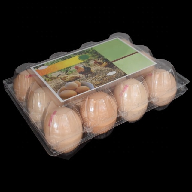 ZX Wholesale 12 Holes Plastic Clamshell Blister Egg Container Packaging 12 cell eggs carton disposable plastic chicken eggs tray