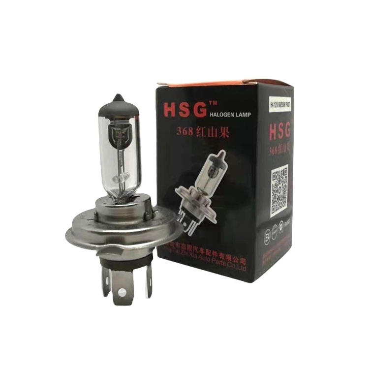 HSG Super Bright 24V 100W H1 H3 H4 H7 Xenon Halogen Bulb/Halogen headlight lamp/Halogen & Xenon Headlights led automotive