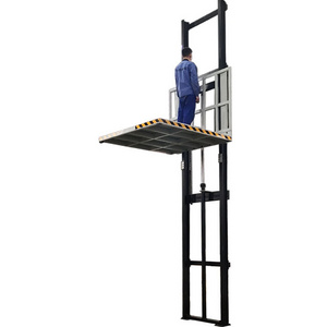 200kg Indoor Outdoor Elevator For Disabled Freight Warehouse Cargo Small Home Elevator Lift Passenger Wall Mounting