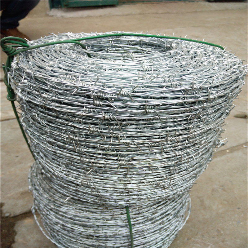 low price electro galvanized Barbed iron wire Mesh Hot-dipped Gi Steel Barbed Wire Roll Price High Tensile Iron Wire