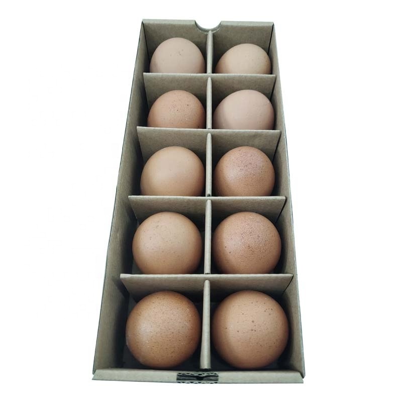 brown kraft corrugated egg package cases custom logo branded natural recycle mini cells egg box factory suppliers paper egg box