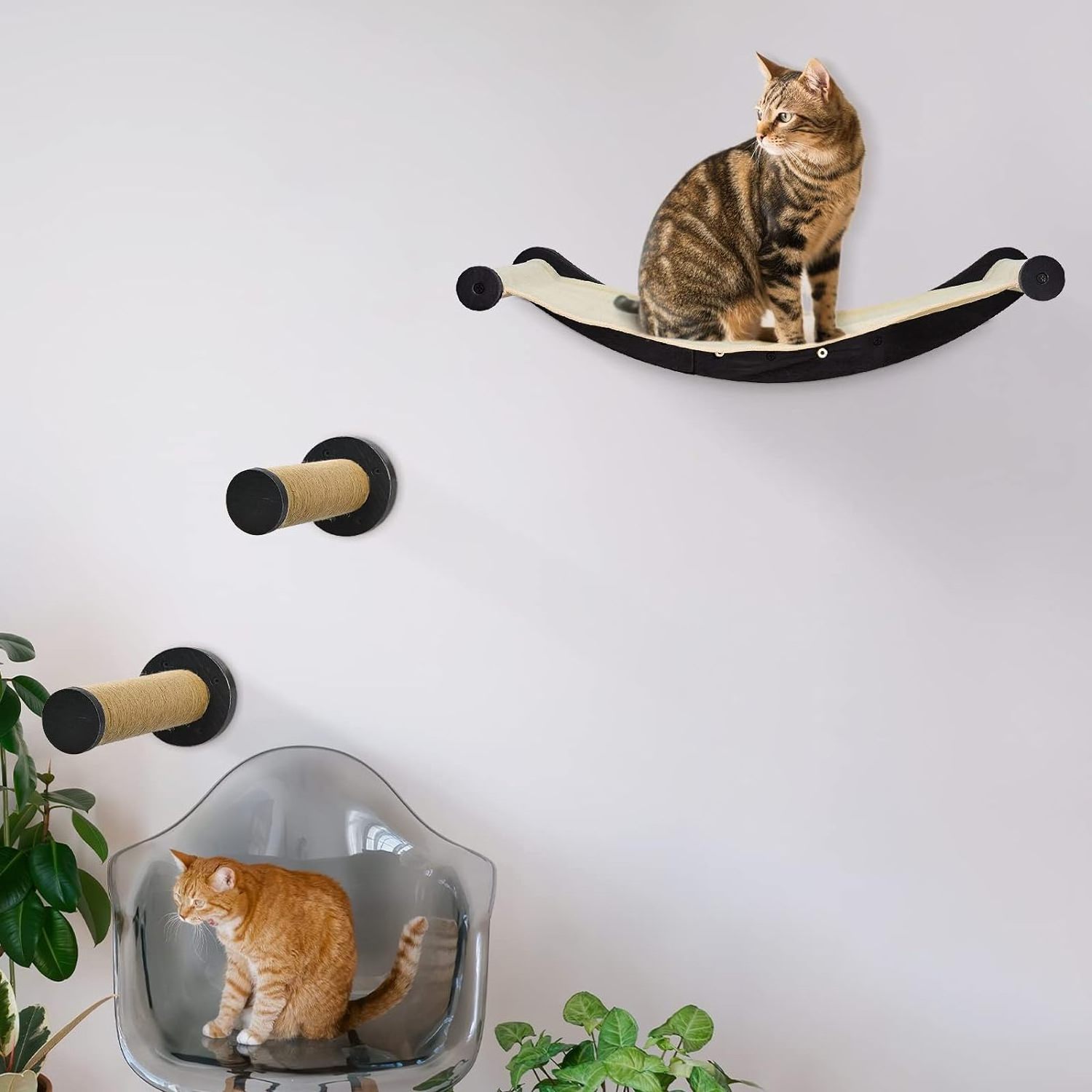 Cat Wall Mounted Shelves and Perches Cat Wall Furniture Climbing Shelves with 2 Steps Cat Hammock