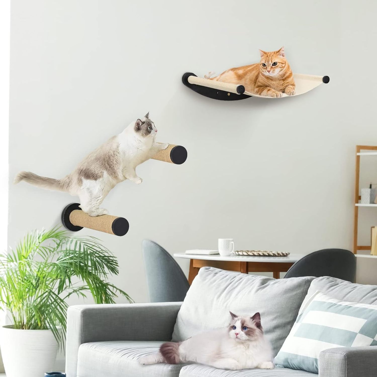 Cat Wall Mounted Shelves and Perches Cat Wall Furniture Climbing Shelves with 2 Steps Cat Hammock