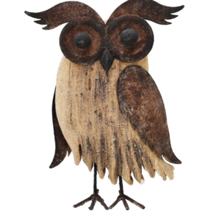 Wood Bird Figurine Home Decor Accent Rustic Bird Statue Tabletop Owl Decor for Living Room Bedroom Office Decoration