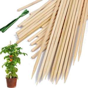 Plant Stakes Wood Plant Supports Natural Bamboo Garden Sticks