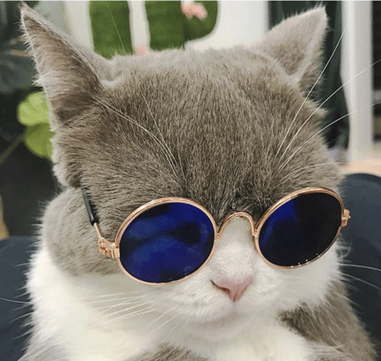 Pet Products Lovely Vintage Round Cat Sunglasses Reflection Eye wear glasses For Small Dog Cat Pet Photos Props Accessories