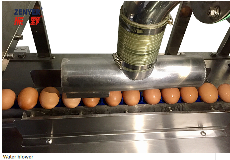 Egg washing machine egg washer for sale