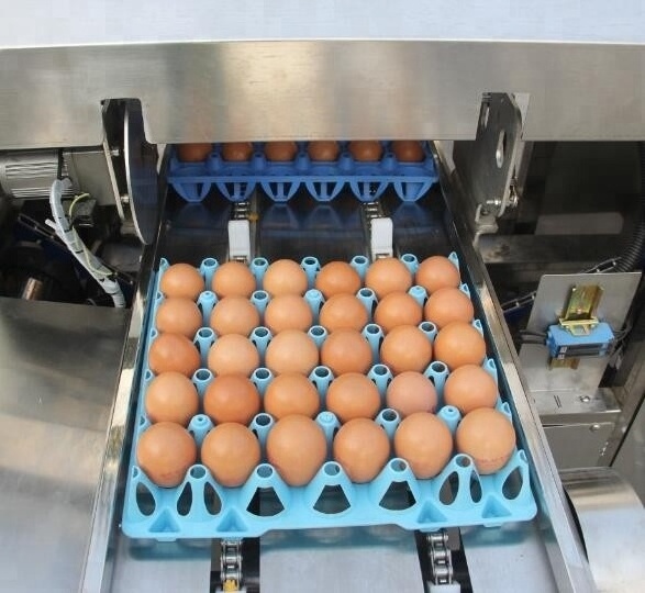 Hotsale farm packer(automatic egg packer)