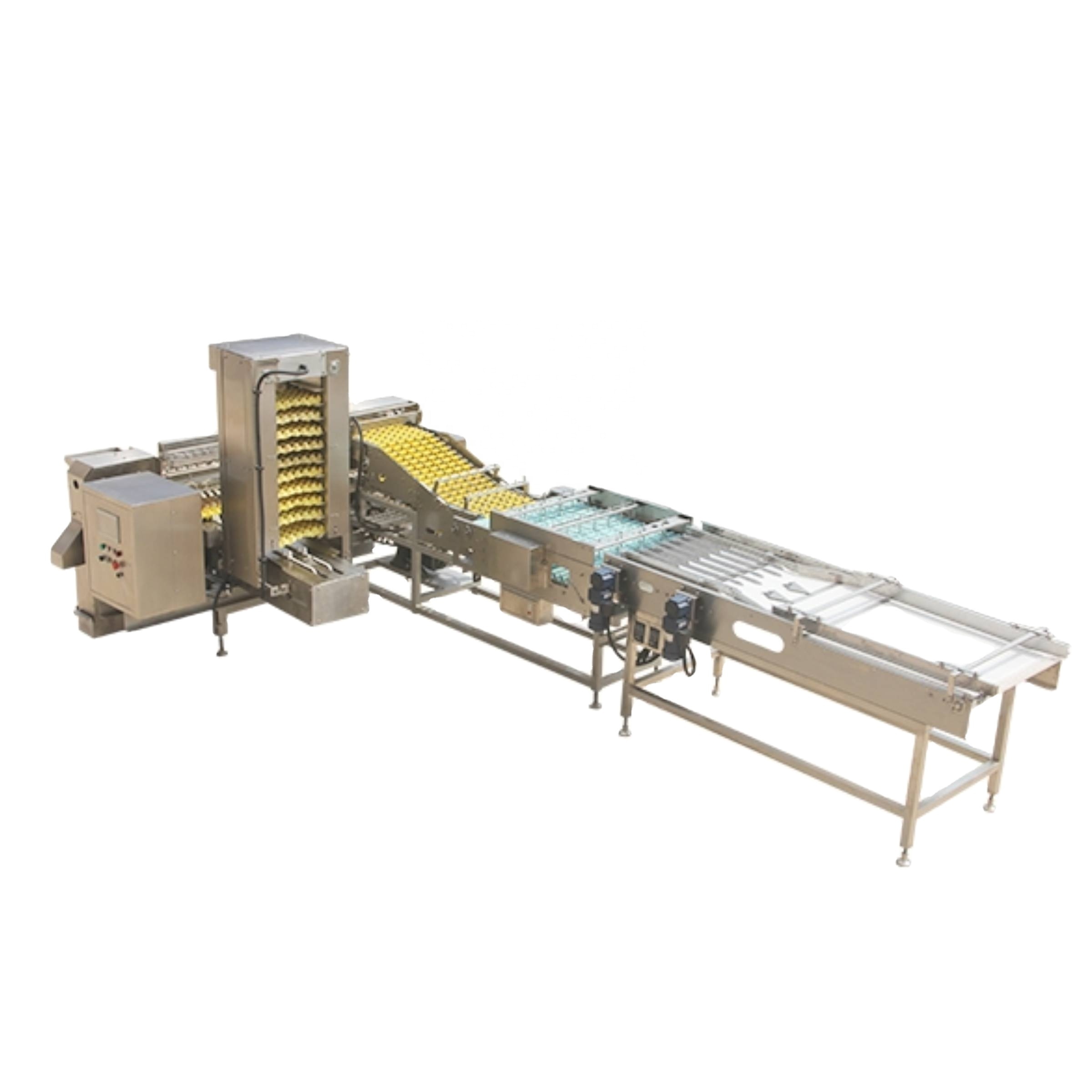 Hotsale farm packer(automatic egg packer)