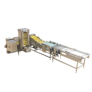 Chicken egg packing machine automatic packer farm packer