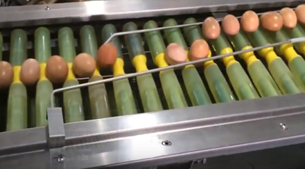 Efficient easy to operate good price automatic egg farm packer