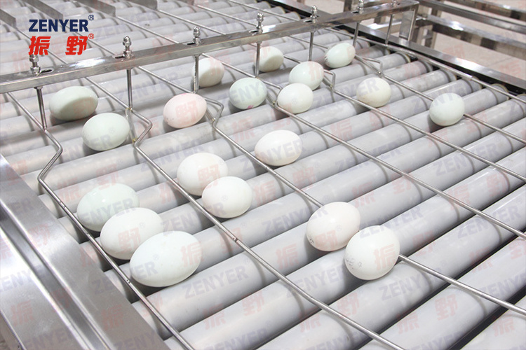 Chicken egg packing machine automatic packer farm packer