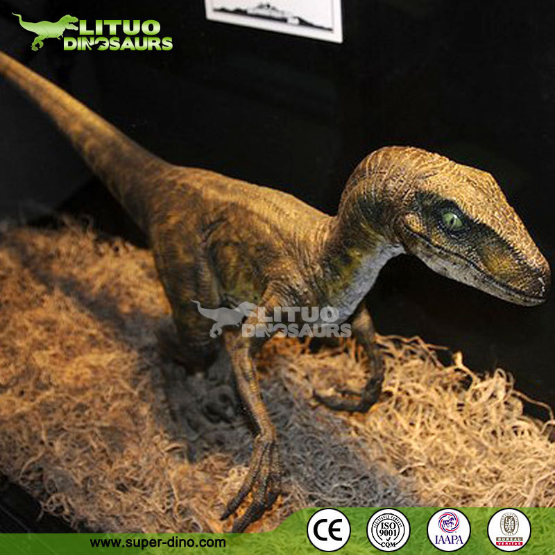 Animatronic Dinosaur Life-sized Raptor For Sale Animatronic Velociraptor For Sale