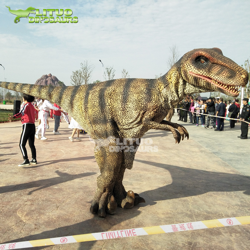 Light Weight Adult Realistic Dinosaur Costume of Velociraptor Raptor Suit