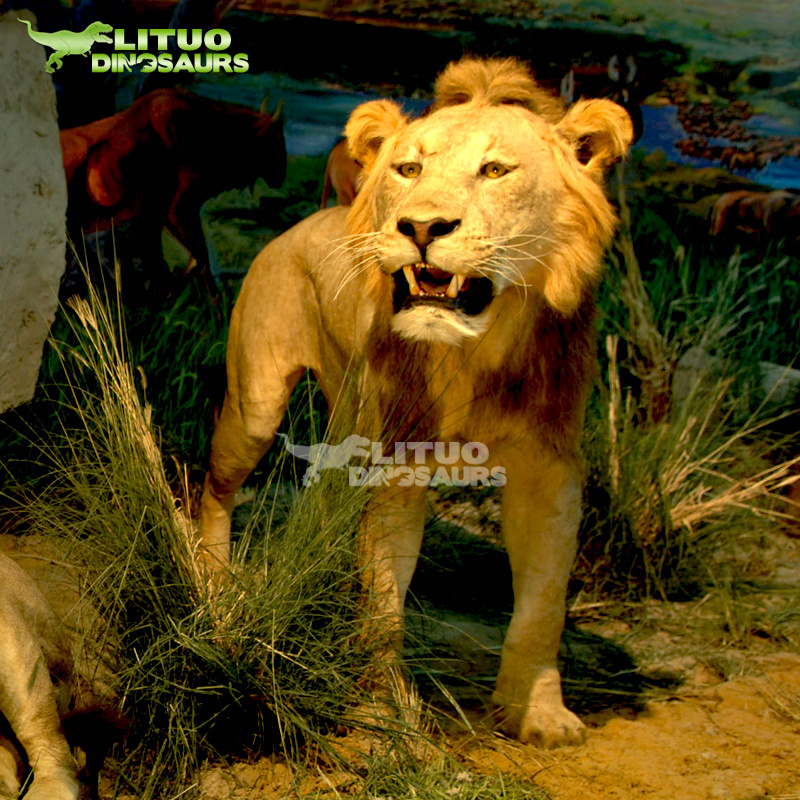 Life Size Animatronic Animal Roaring Lion Model