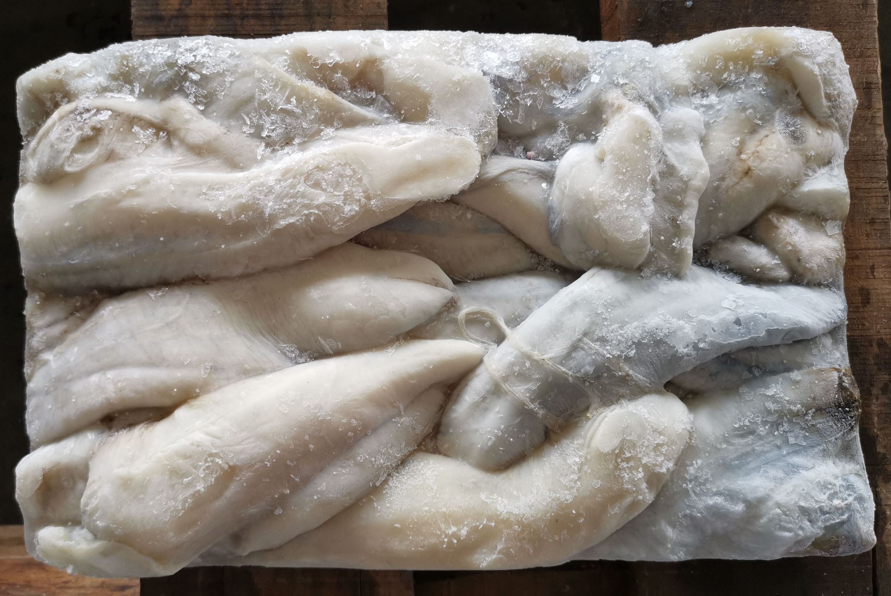 Squid Roe New BQF Frozen Squid Eggs Gigas For Sale frozen squid white roe