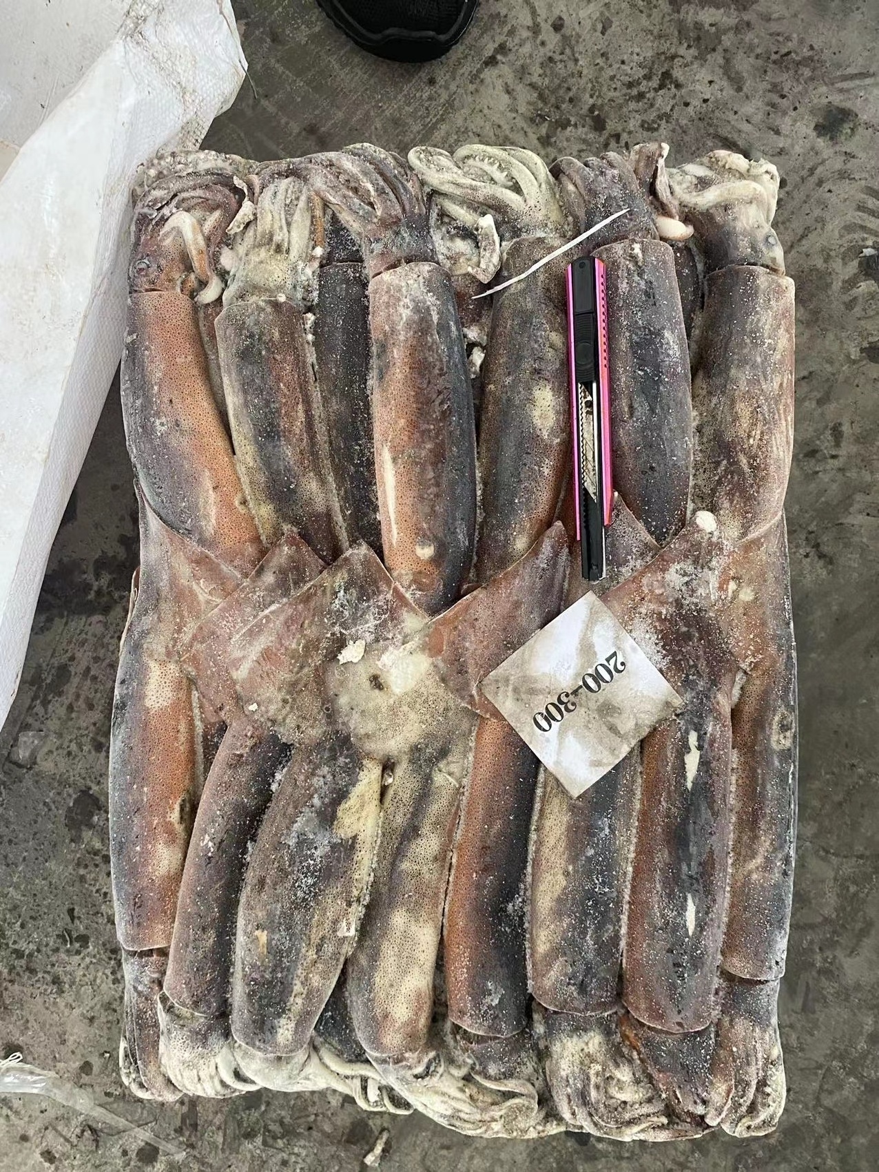 M36 Export cheap  frozen argentina illex squid china frozen squid high quality