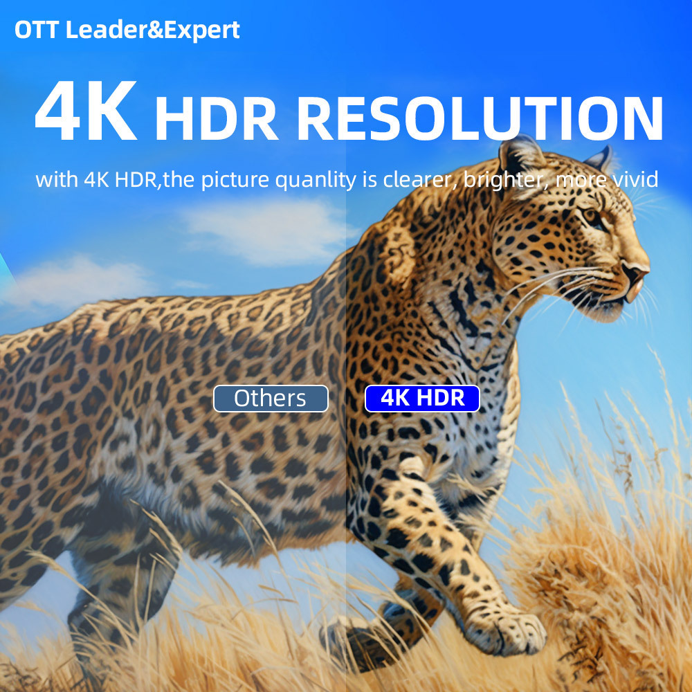 OTT For Germany Android IP TV Box EU plug free test 2024 Best 4k Live streaming Internet set-top box 2+16GB 24H Shipment