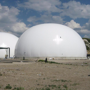 BSL dual membrane biogas storage balloon gas tank