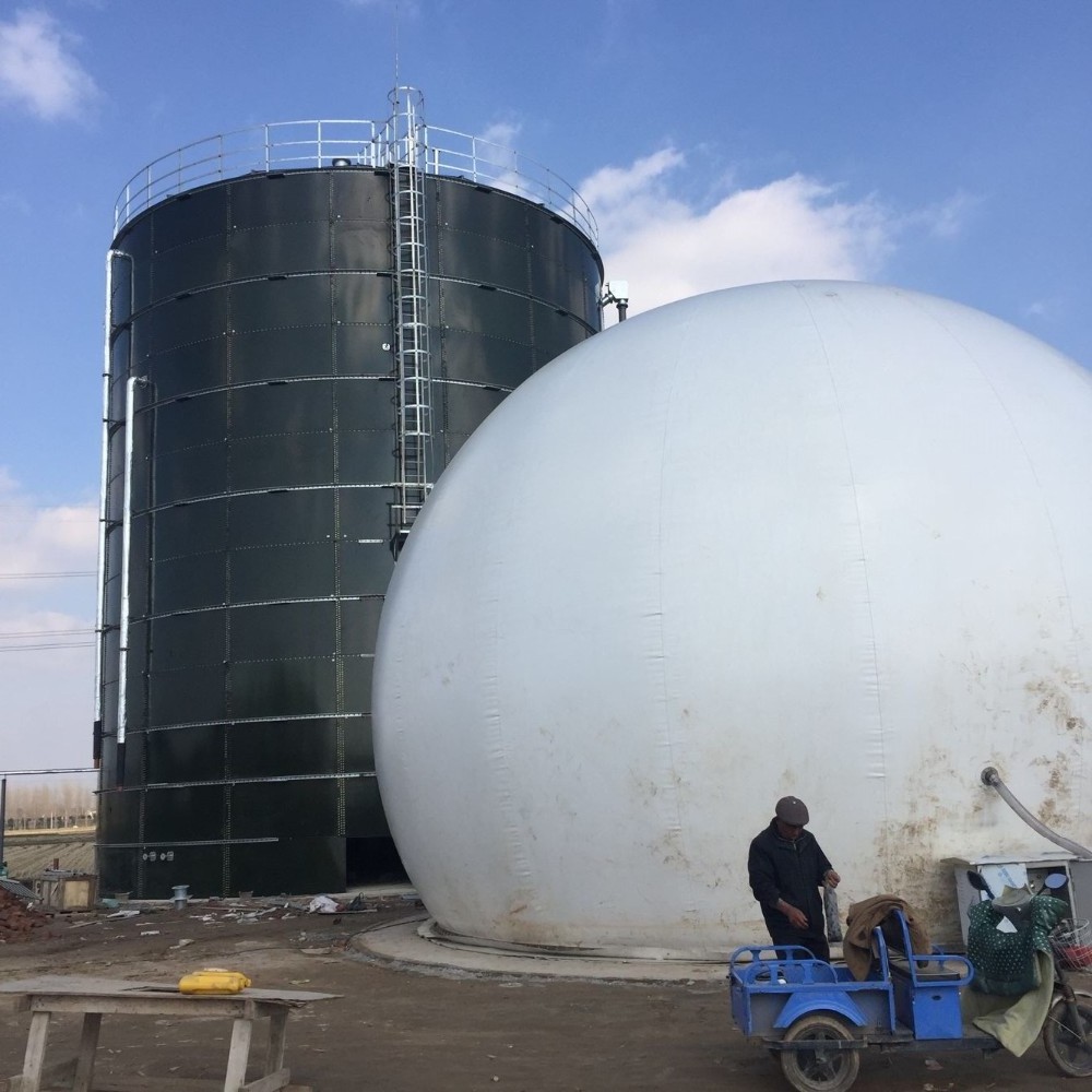 BSL dual membrane biogas storage balloon gas tank