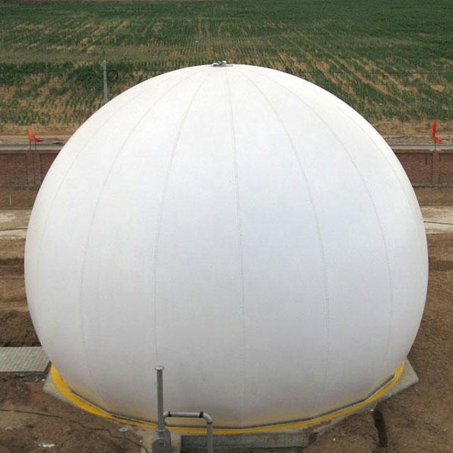 biogas balloon/biogas cabinet/double membrane biogas holder