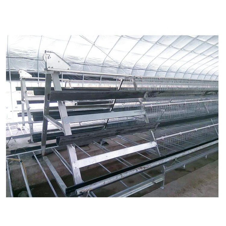 Long service life zinc aluminum wire farming equipment chicken cage with automatic drinking system