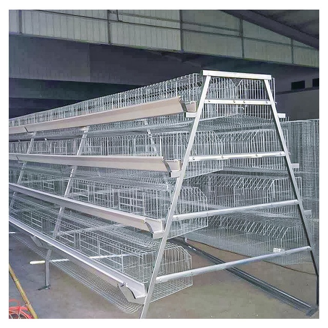 Long service life zinc aluminum wire farming equipment chicken cage with automatic drinking system