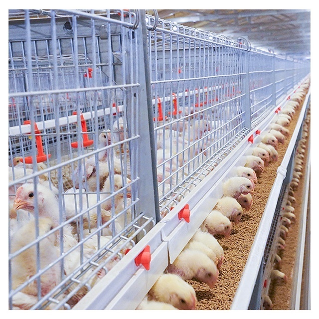 High rearing efficiency hot-sale hot-dip zinc broiler coop poultry battery house broiler chicken cage