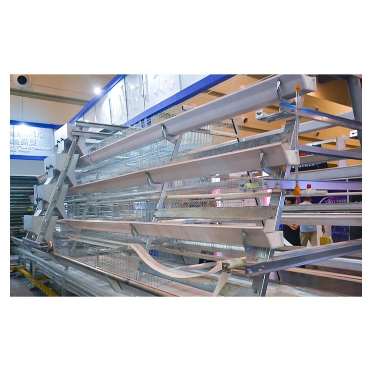 Long service life zinc aluminum wire farming equipment chicken cage with automatic drinking system