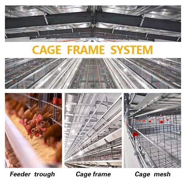 Integrated cabinet design and corrosion resistant chicken coop